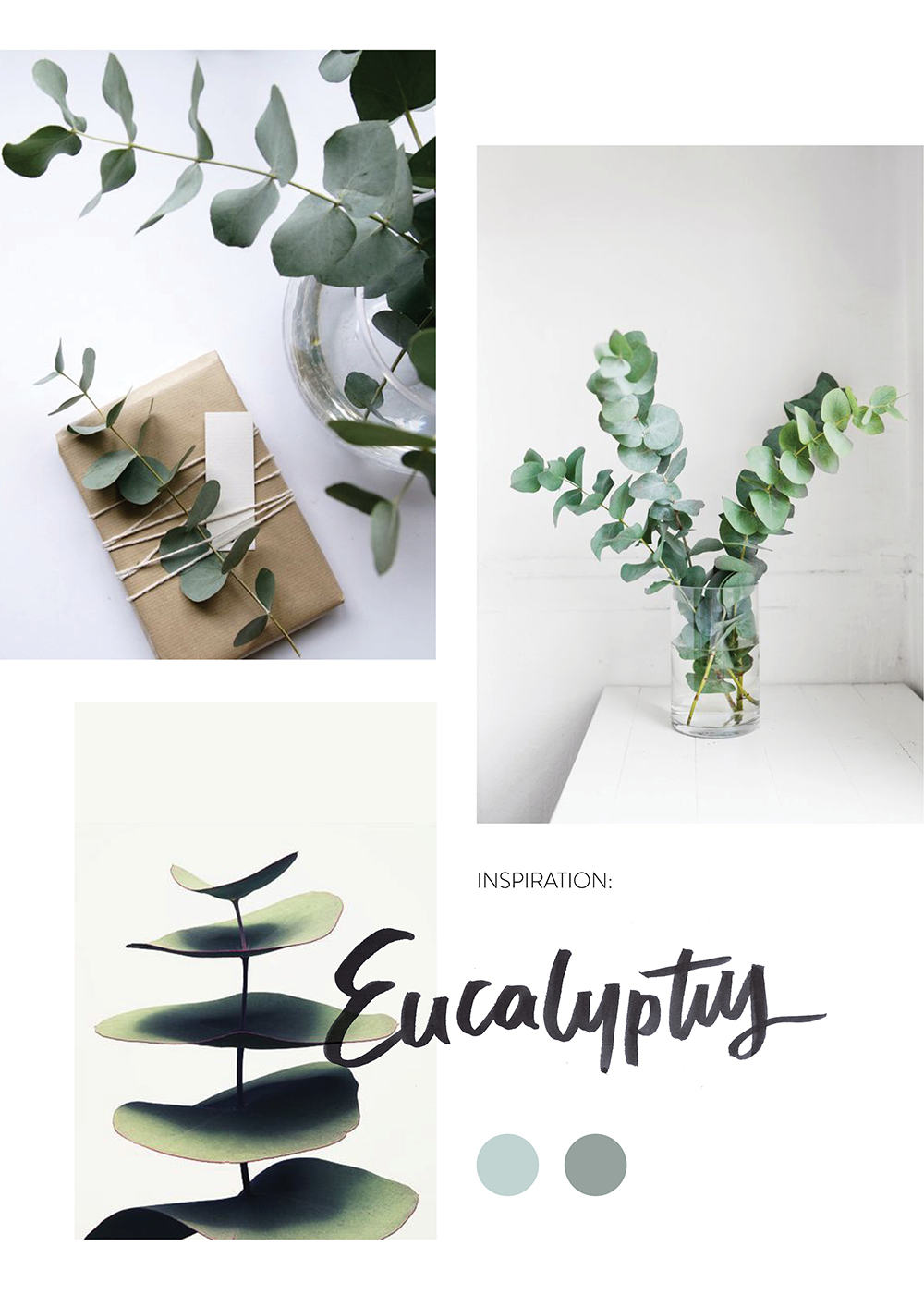 eucalyptus-moodboard-insta3