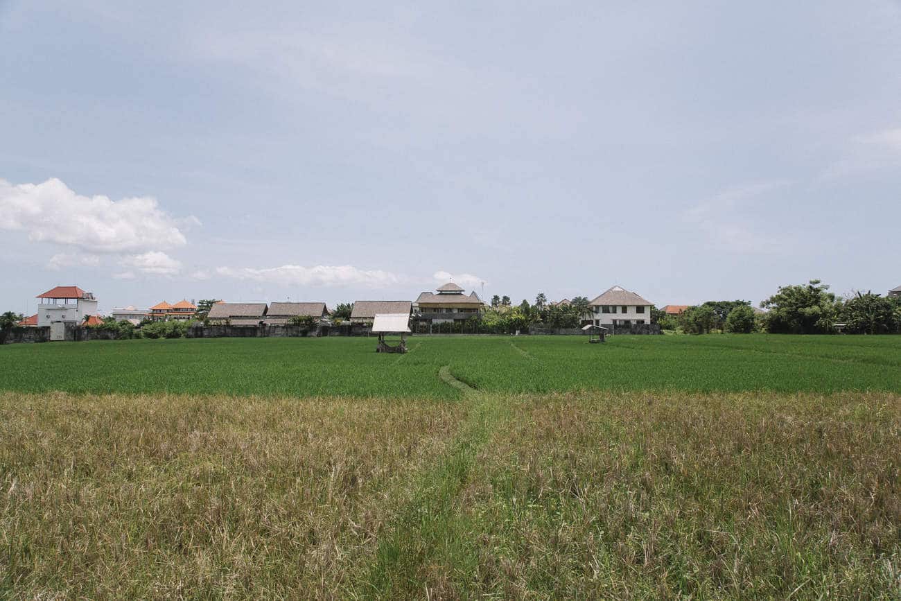 23-kinlake-bali-canngu-rice-field