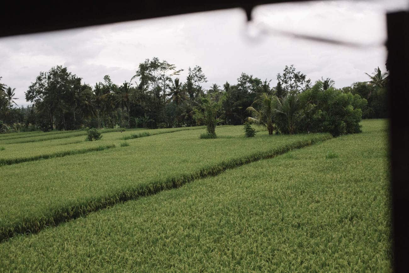 46-kinlake-bali-ubud