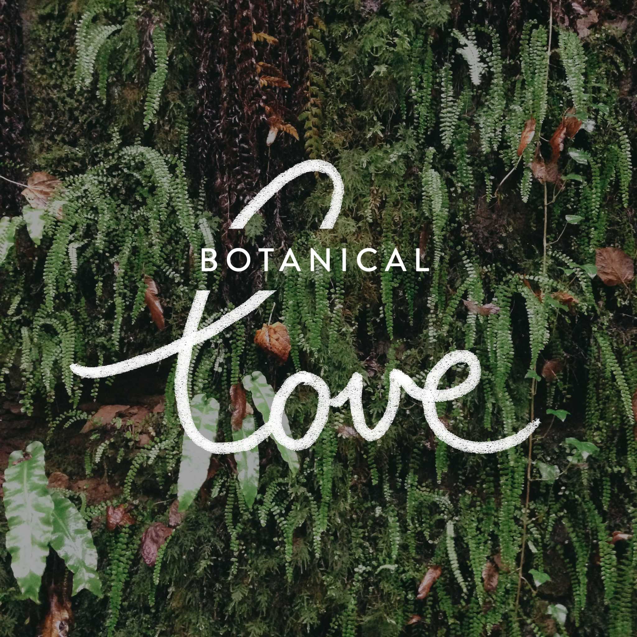 botanical-love-kinlake