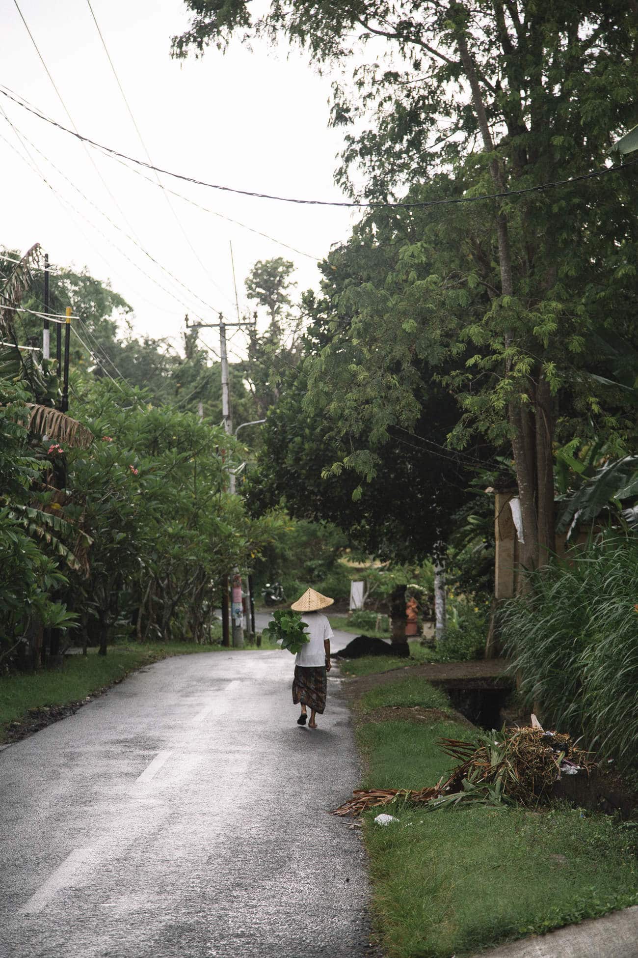 35-kinlake-bali-canngu