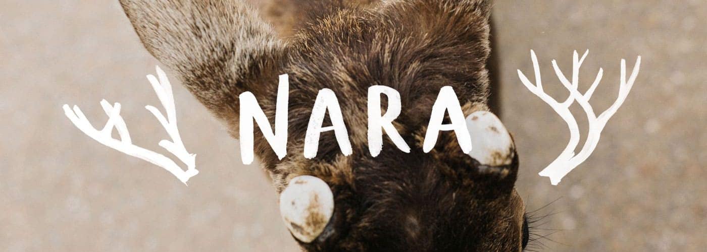 Kinlake-Japan-City-Lifestyle-9396